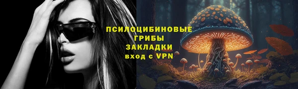 хмурый Абинск