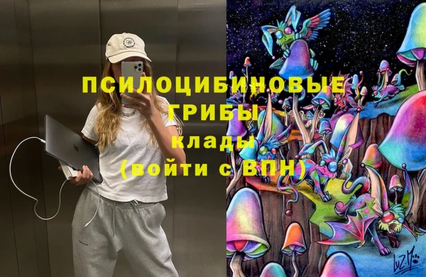 хмурый Абинск